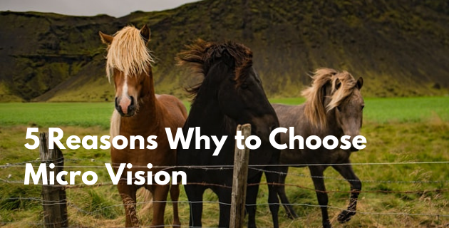 5 Reasons Why to Choose Micro Vision